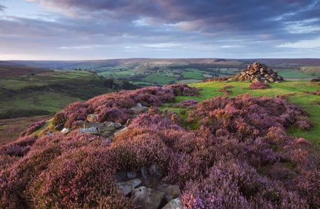 Moorlands Reserve