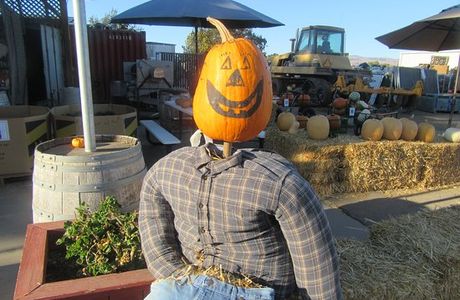 LJB Farms