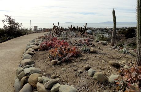 Ventura Botanical Gardens