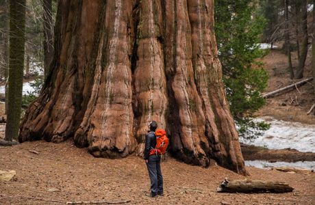 Sunset Rock - Sequoia National Park