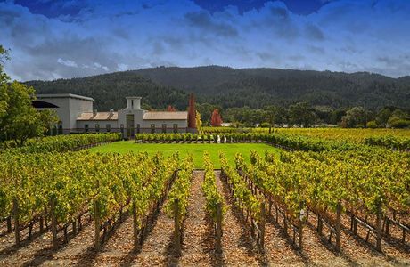 Cardella Winery