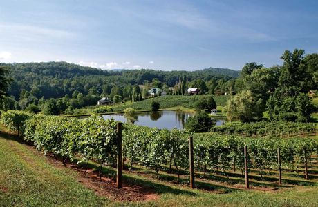 Beaver Creek Vineyards