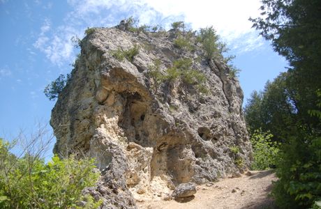 Sugarloaf Trail