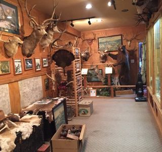 Bull Mountain Trading