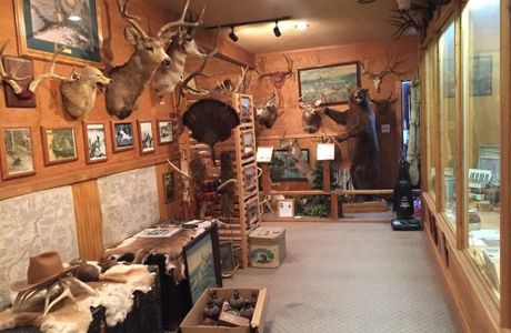 Bull Mountain Trading