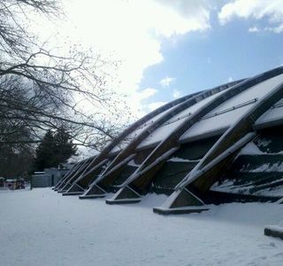 Cass Park Rink and Pool