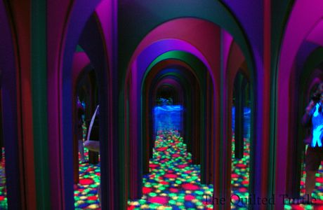 Maze of Mirrors
