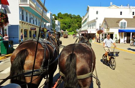 Mackinac Island Carriage Tours