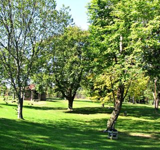 Institute Park