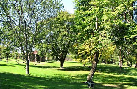 Institute Park