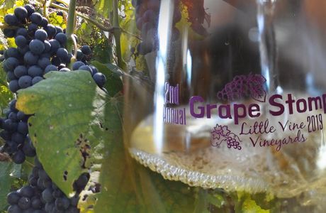 Little Vine Vineyards and Winery