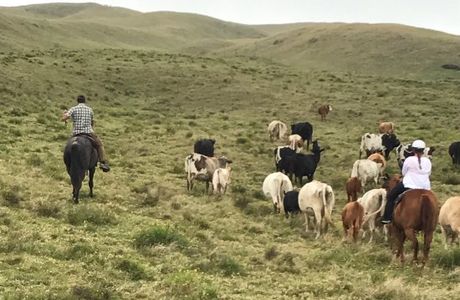 Dahana Ranch