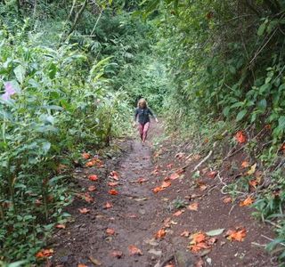 Makiki Trail