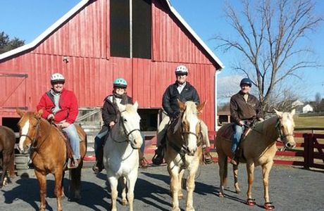 Royal Horseshoe Farm