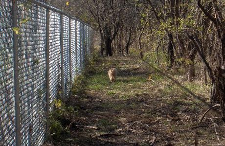 Tails and Trails Dog Park