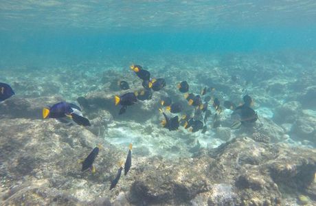 Dihamri Marine Protected Area