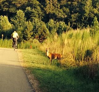 Capital Area Greenway
