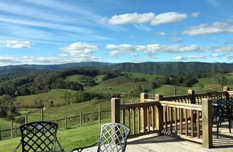 Watauga Lake Winery