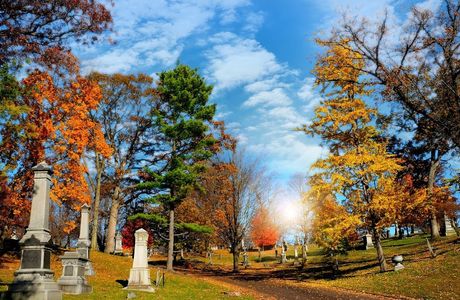 Ferncliff Cemetery & Arboretum