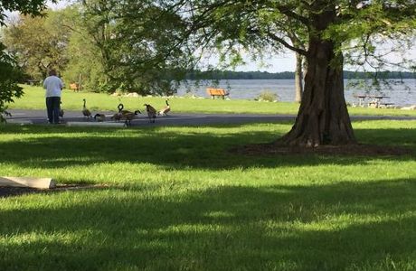 C.J. Brown Dam & Reservoir