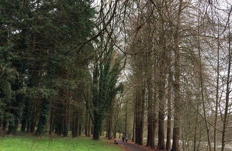 Parc de la Garenne