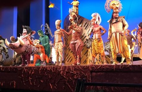 Der Koenig der Loewen (The Lion King)