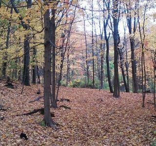 Peter's Rock Park