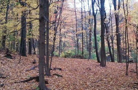 Peter's Rock Park