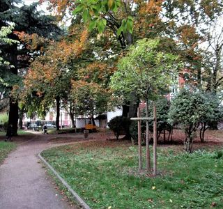 Square Lounès Matoub