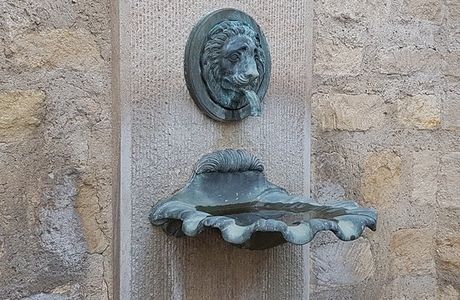 Coquille de Saint-Jacques de Compostelle