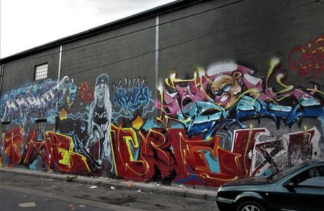 Fresque "Skateboardeuse"