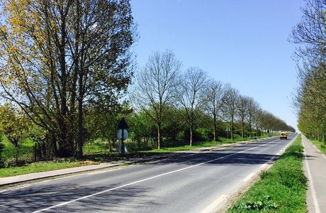 Parc de la Mairie