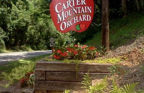 Carter Mountain Orchard