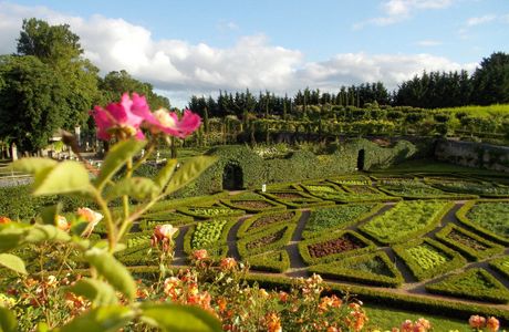 Fresque "Jardin extraordinaire"