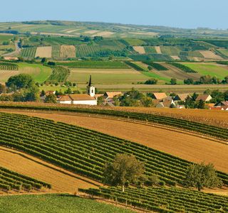 Demeterhof Weinbau Meinklang