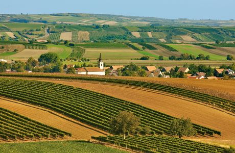 Demeterhof Weinbau Meinklang
