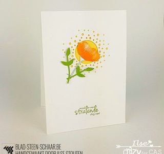 Blad Steen Schaar