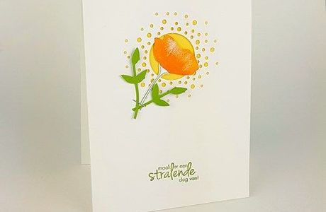 Blad Steen Schaar