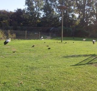 De Brielmeersen Urban Recreation Park