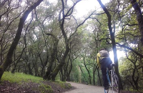 Dender Bicycle Trails