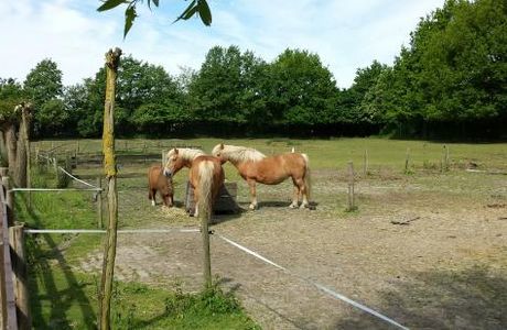 Kinderboerderij De Specht