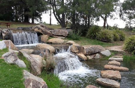 Armidale Bicentennial Arboretum