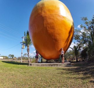 The Big Mango