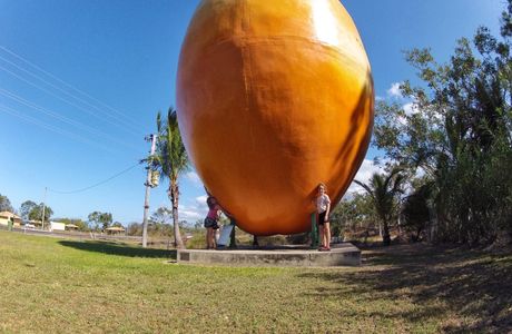 The Big Mango