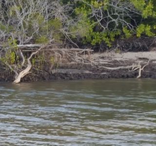 Annan River National Park