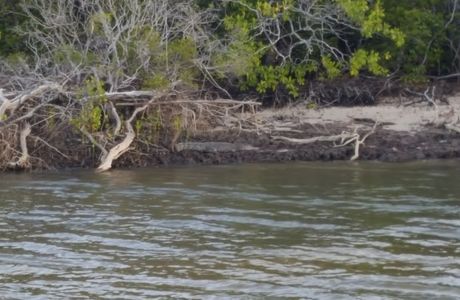 Annan River National Park