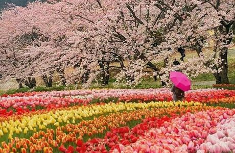 Jiuyan Spring