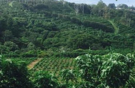 Tour Adventure Costa Rica