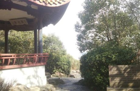 Longquan Mountain of Yuyao