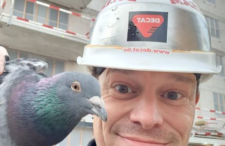 Opvangcentrum Vogels en Wilde Dieren